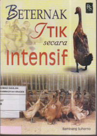 Beternak Itik secara Intensif